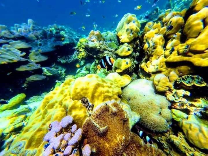 Daya Hill Seaview Hotel Koh Lipe Bagian luar foto